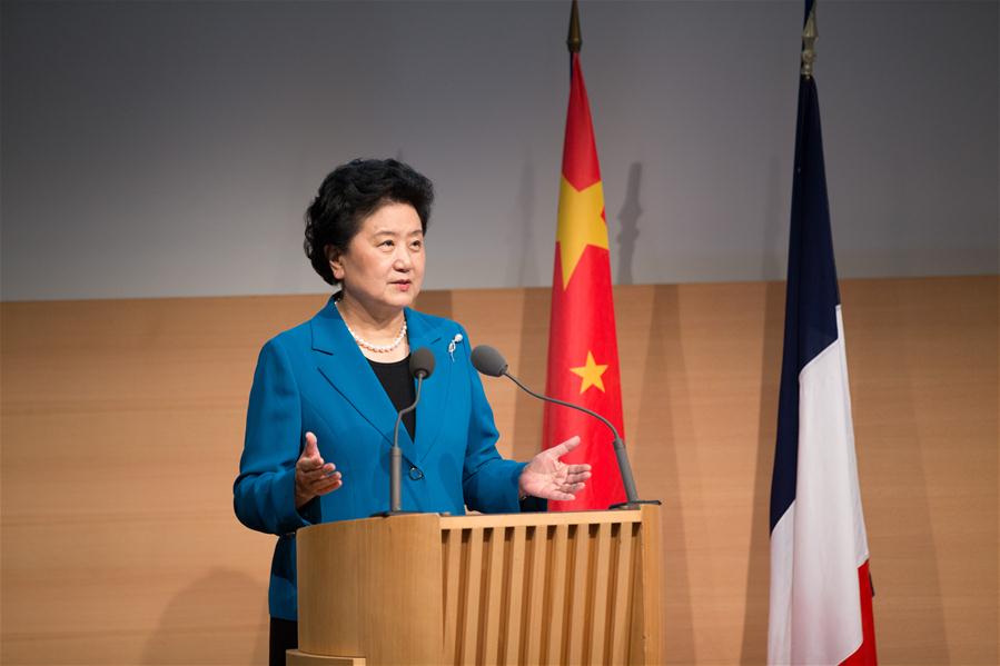 FRANCE-PARIS-CHINA-LIU YANDONG-FORUM