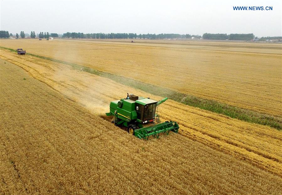 A combine harvester works in a farm in Xihua County, central China's Henan Province, June 3, 2016. A combine harvester works in a farm in Xihua County, central China's Henan Province, June 3, 2016.