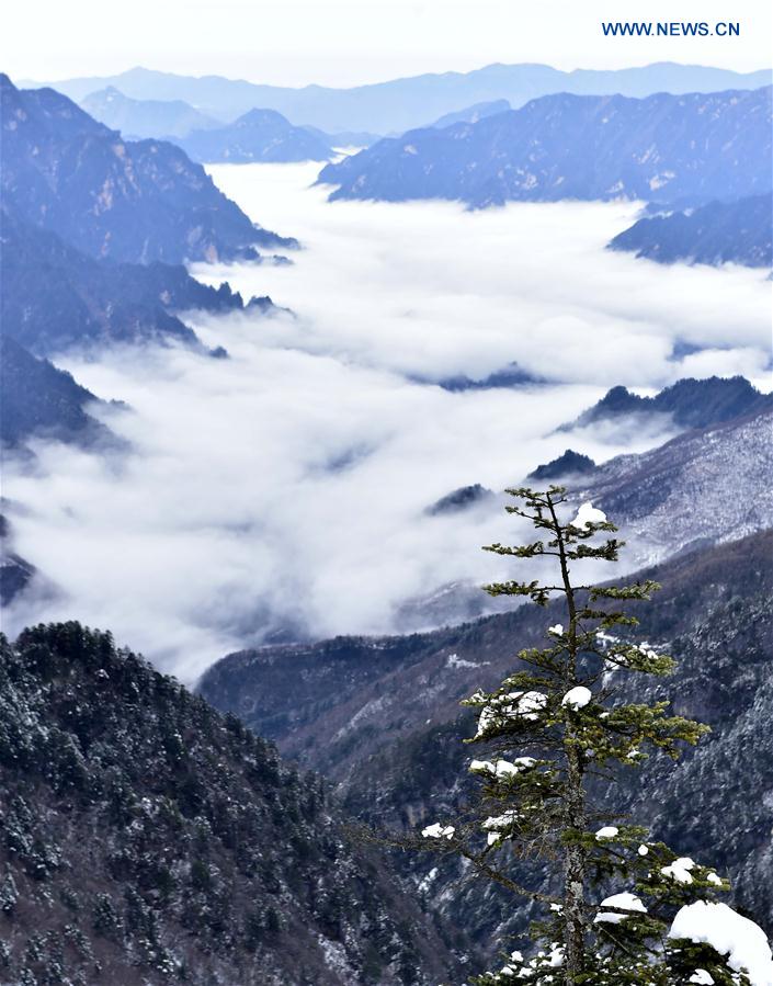 CHINA-HUBEI-SHENNONGJIA-WORLD HERITAGE (CN)