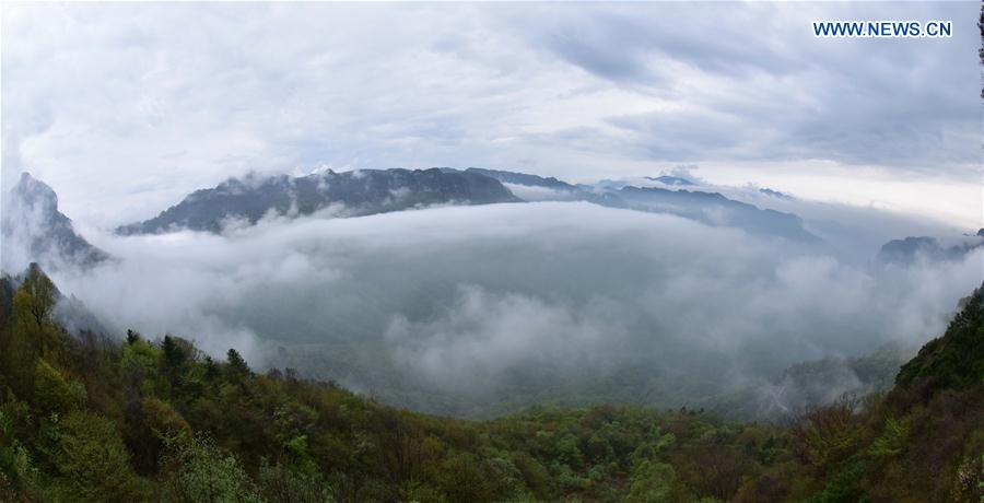 CHINA-HUBEI-SHENNONGJIA-WORLD HERITAGE (CN)