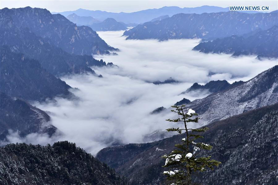 CHINA-HUBEI-SHENNONGJIA-WORLD HERITAGE (CN)