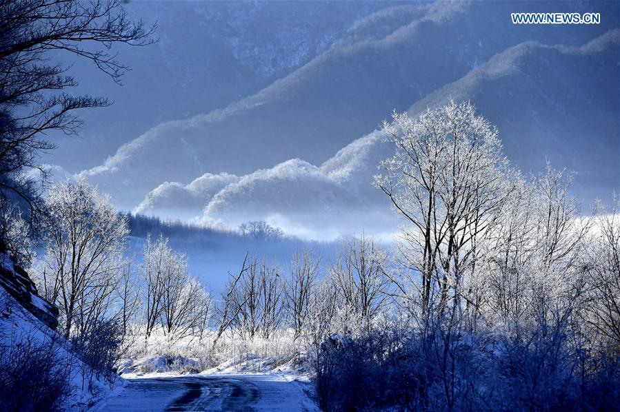 CHINA-HUBEI-SHENNONGJIA-WORLD HERITAGE (CN)