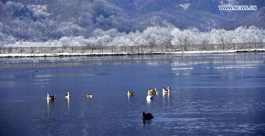 CHINA-HUBEI-SHENNONGJIA-WORLD HERITAGE (CN)