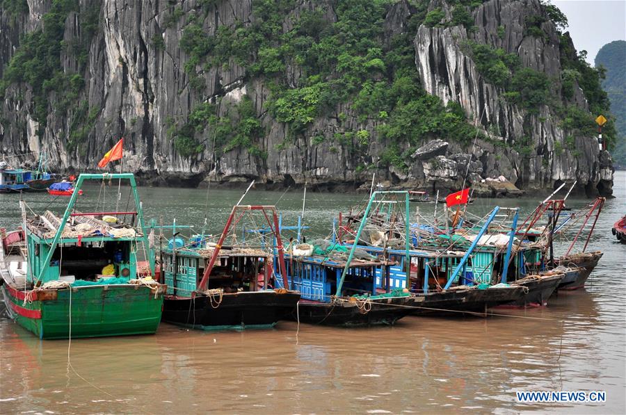 VIETNAM-HANOI-DIANMU STORM-PREPARATION