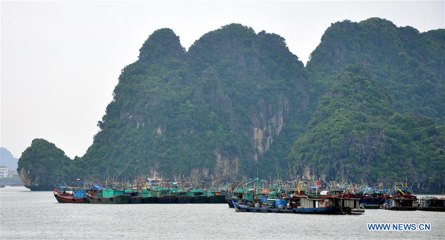 VIETNAM-HANOI-DIANMU STORM-PREPARATION