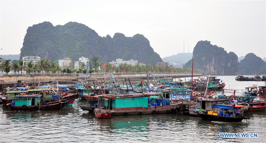 VIETNAM-HANOI-DIANMU STORM-PREPARATION