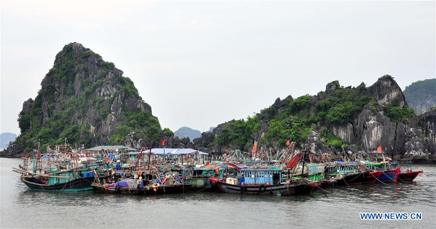 VIETNAM-HANOI-DIANMU STORM-PREPARATION