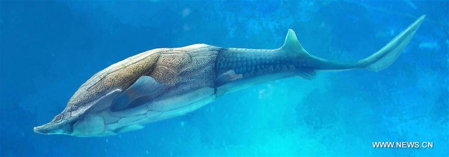 U.S.-WASHINGTON D.C.-CHINA FISH FOSSIL-QINLINYU