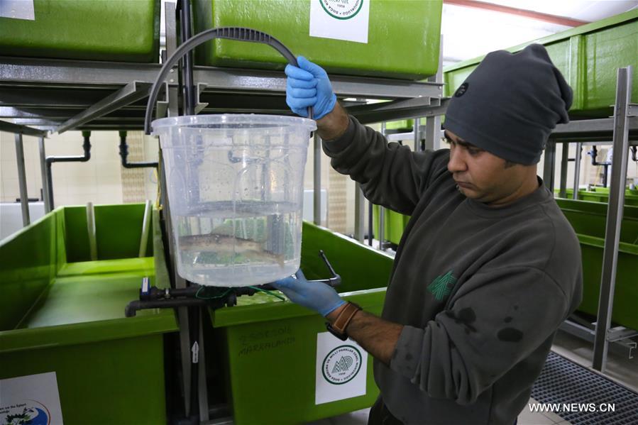 TURKEY-BOLU-ENVIRONMENT-CONSERVATION