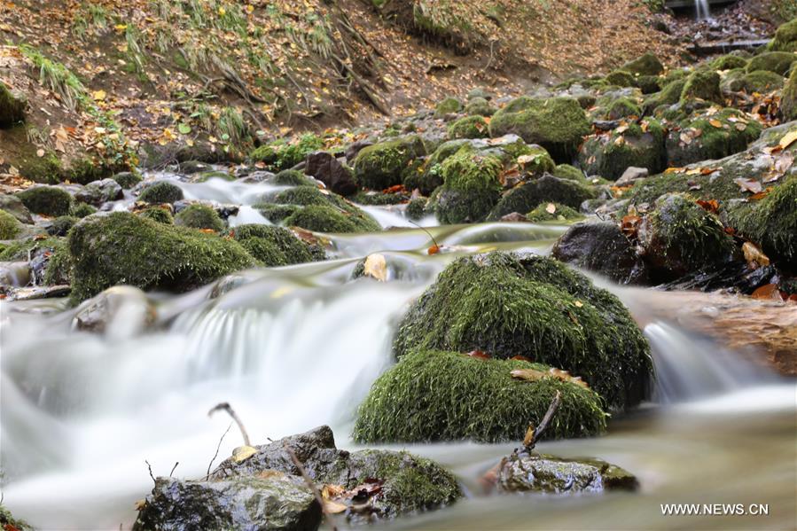 TURKEY-BOLU-ENVIRONMENT-CONSERVATION