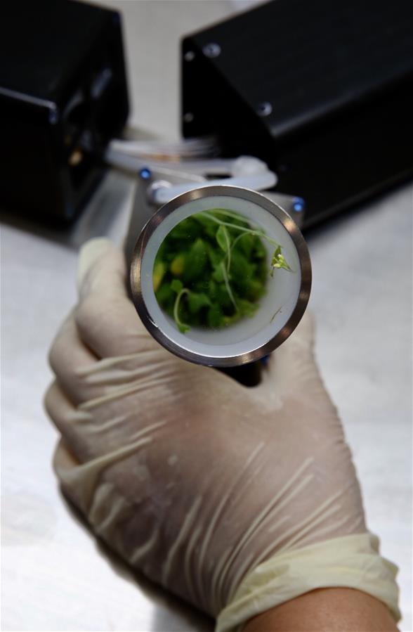 (科技)(3)神舟十一号飞船返回舱相关实验装置及样品顺利回收