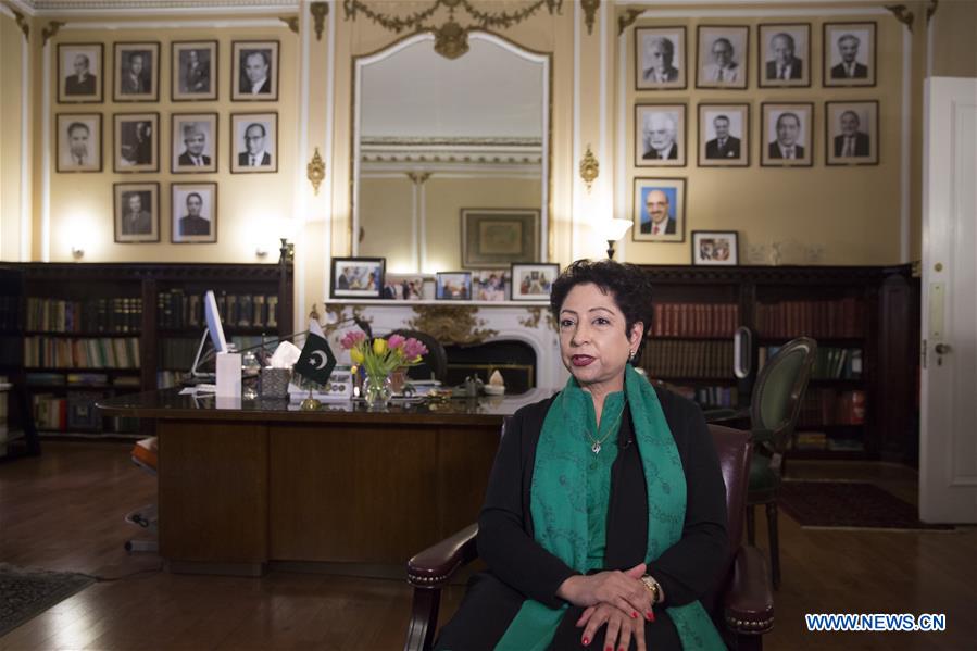 US-NEW YORK-PAKISTAN-REPRESENTATIVE-INTERVIEW