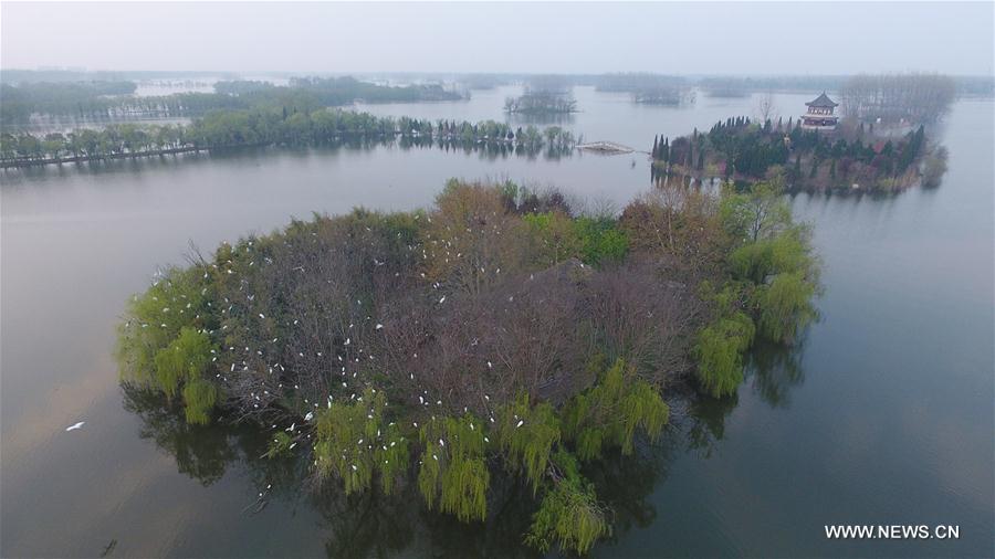 CHINA-ANHUI-HUOQIU-SCENERY (CN)