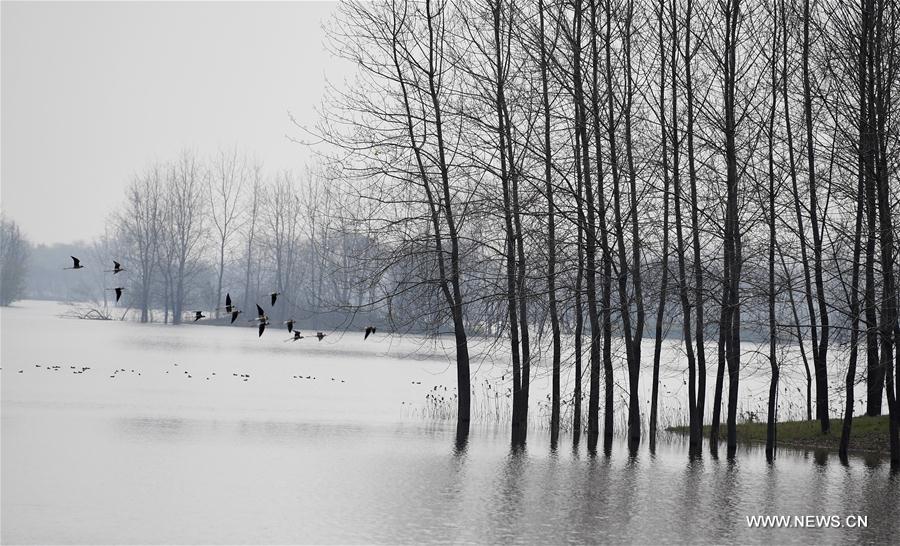 CHINA-ANHUI-HUOQIU-SCENERY (CN)