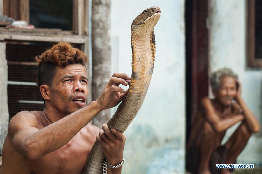 INDONESIA-RIAU-DAILY LIFE-SNAKE CHARMER