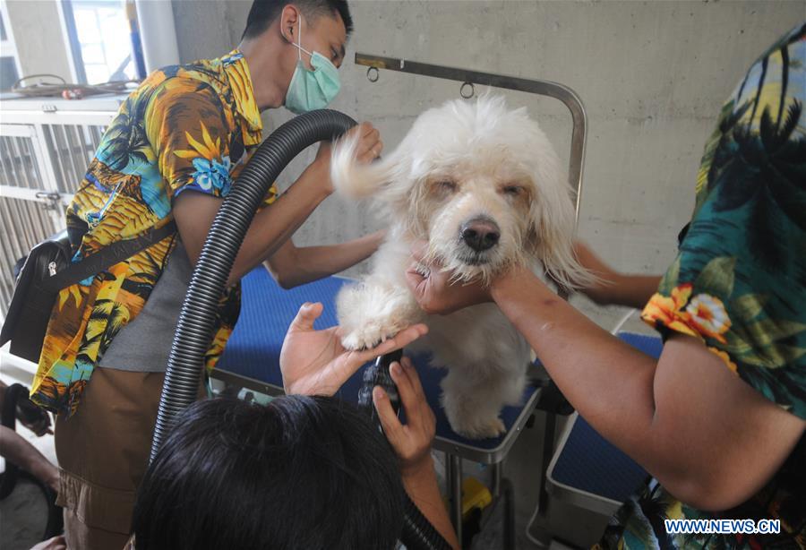 INDONESIA-WEST JAVA-PETS SHELTER