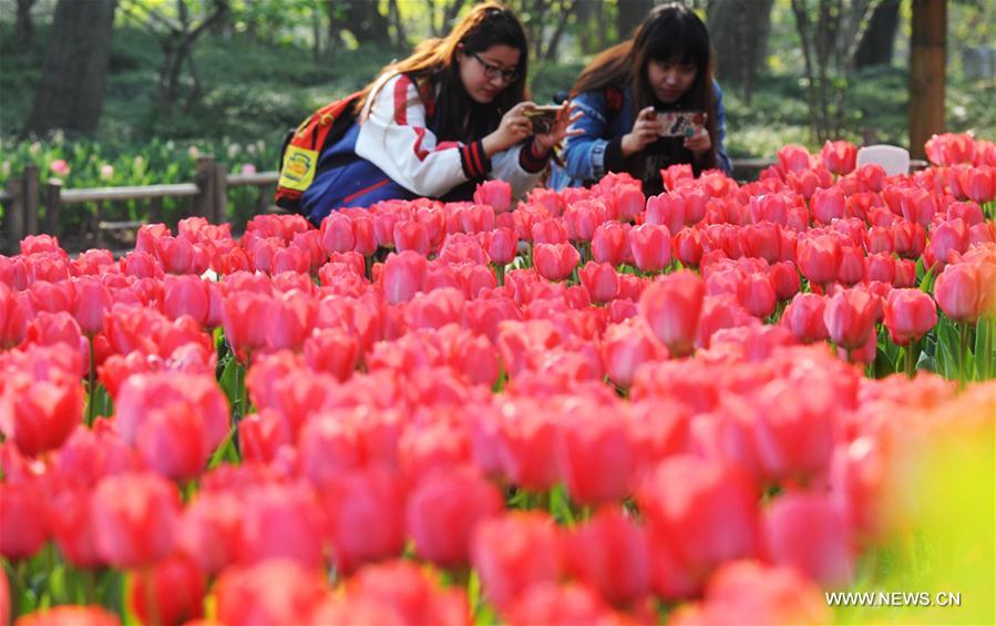 #CHINA-QINGMING HOLIDAY-TOURISM (CN)
