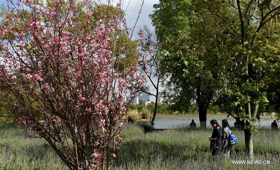 CHINA-KUNMING-QINGMING HOLIDAY (CN)