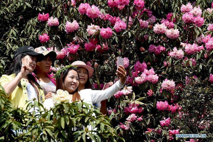 CHINA-YUNNAN-LEISURE (CN)