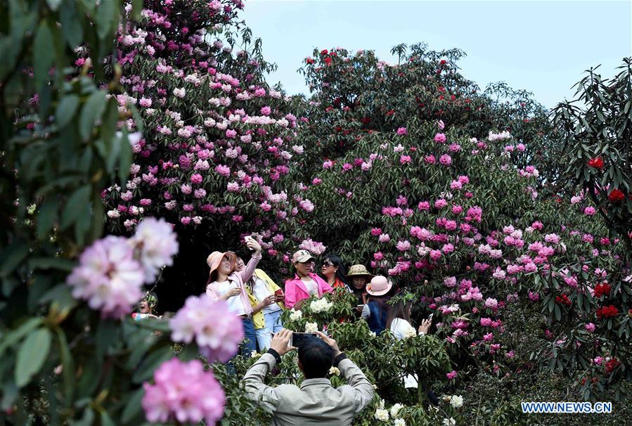 CHINA-YUNNAN-LEISURE (CN)