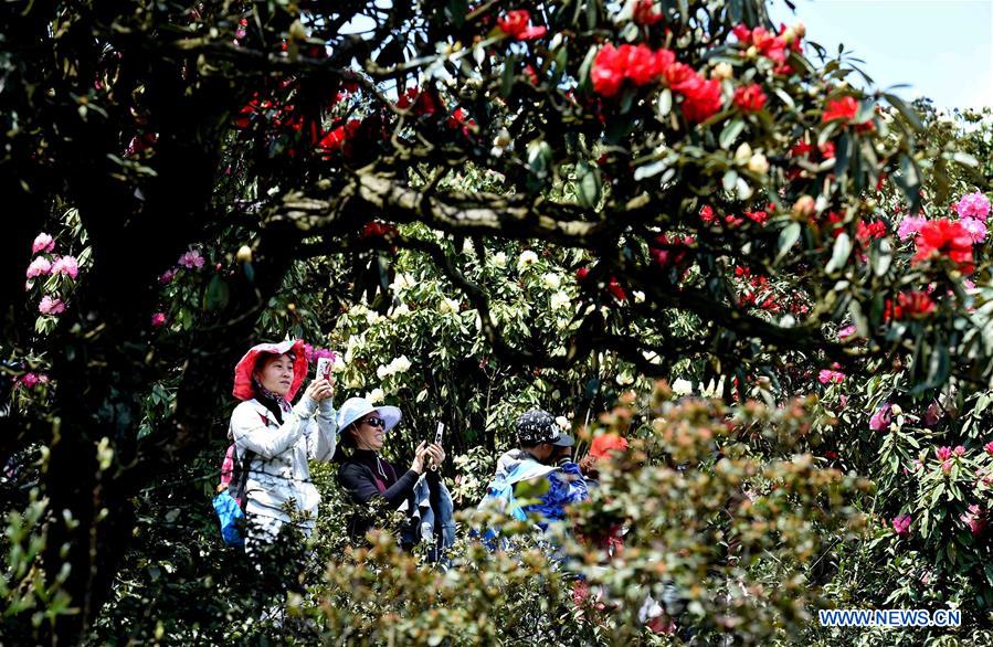 CHINA-YUNNAN-LEISURE (CN)