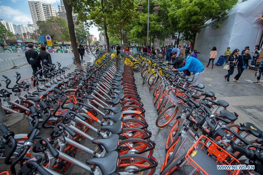 CHINA-KUNMING-SHARED BICYCLE (CN)