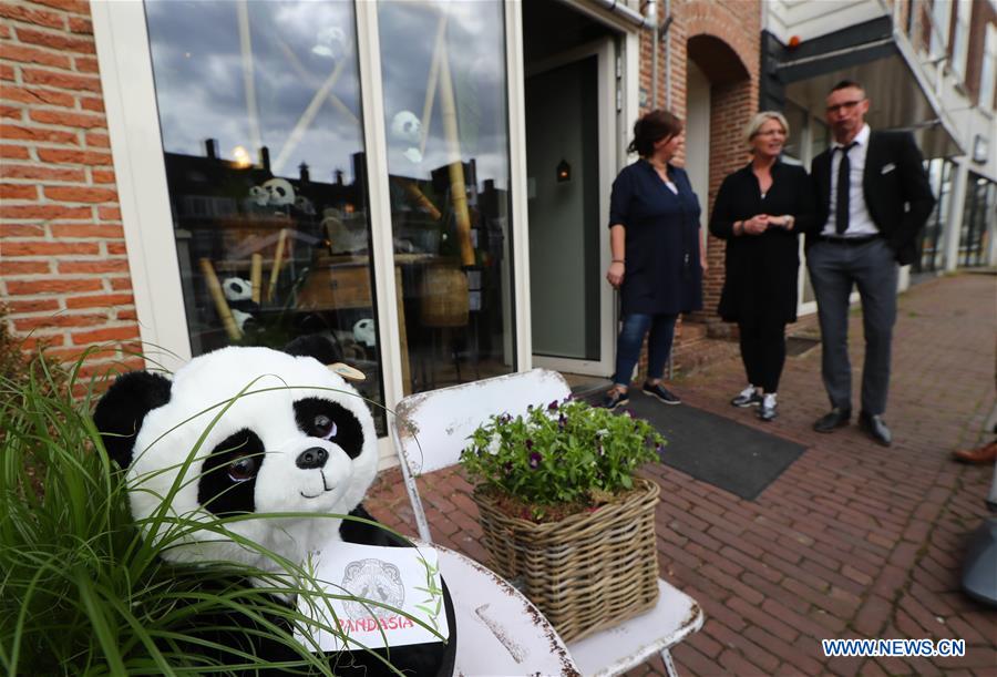 NETHERLANDS-RHENEN-PANDA
