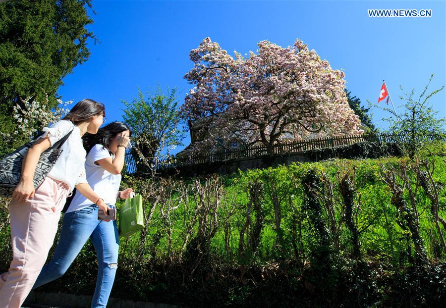 SWITZERLAND-BERN-SPRING TIME