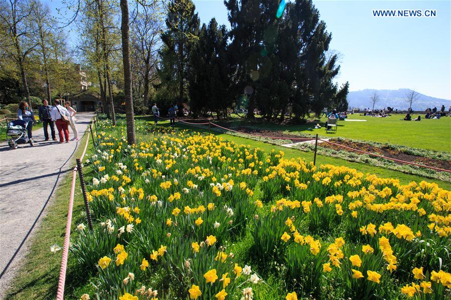 SWITZERLAND-BERN-SPRING TIME