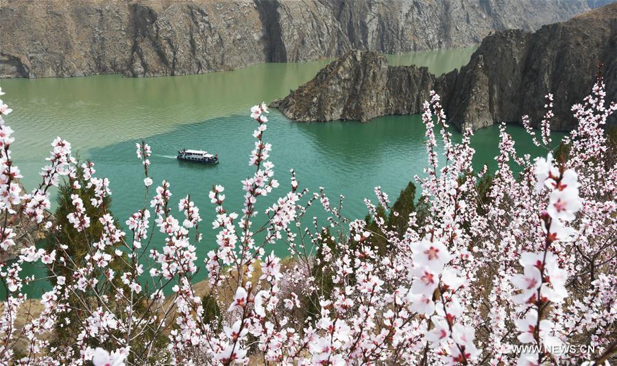 XINHUA PHOTO WEEKLY CHOICES