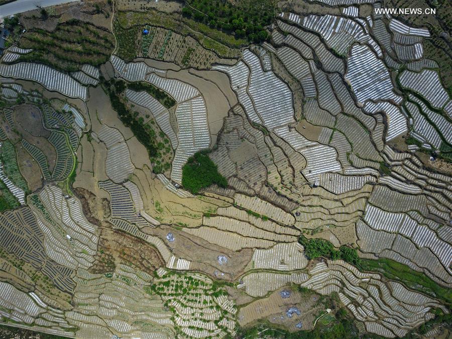 CHINA-GUIZHOU-FARMLAND-AERIAL (CN)