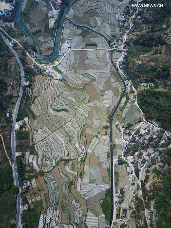 CHINA-GUIZHOU-FARMLAND-AERIAL (CN)