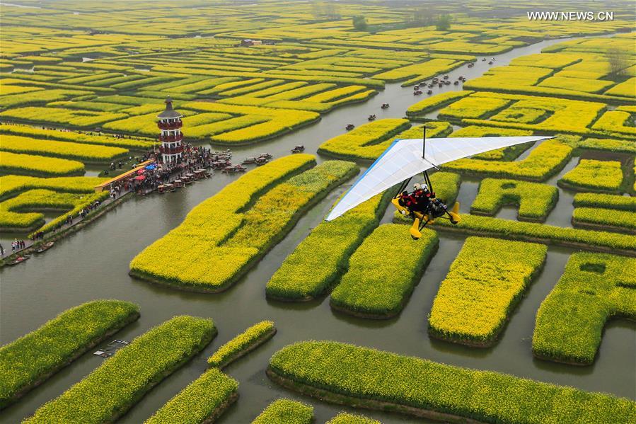 #CHINA-XINGHUA-COLE FLOWERS(CN)