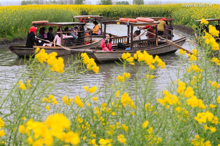 #CHINA-XINGHUA-COLE FLOWERS(CN)