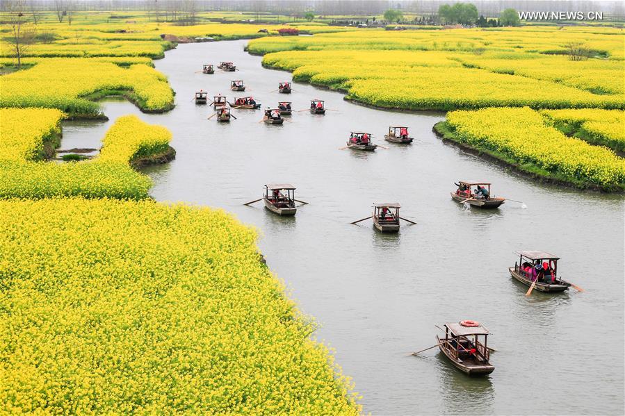 #CHINA-XINGHUA-COLE FLOWERS(CN)