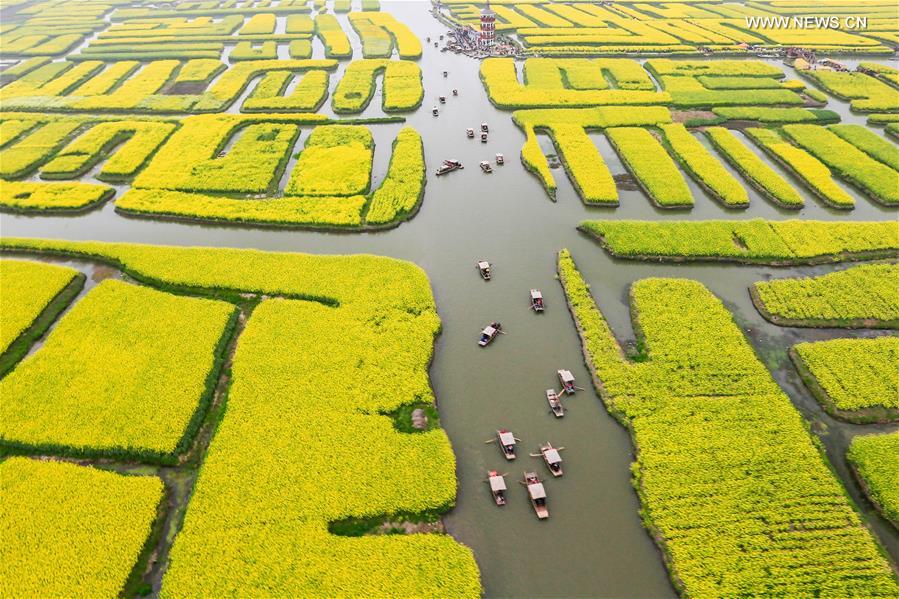#CHINA-XINGHUA-COLE FLOWERS(CN)
