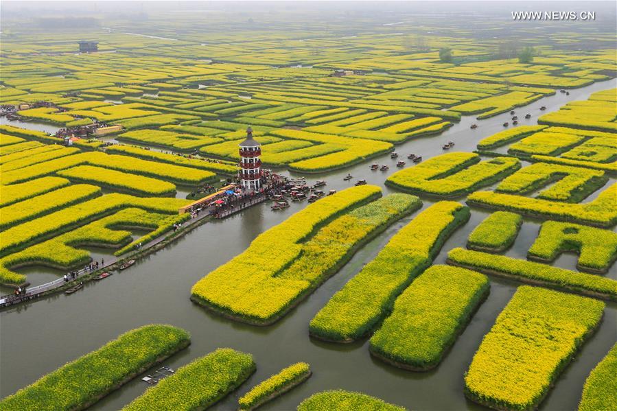 #CHINA-XINGHUA-COLE FLOWERS(CN)
