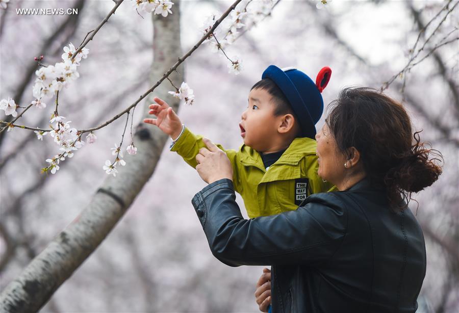 CHINA-INNER MONGOLIA-PEACH BLOSSOM (CN)