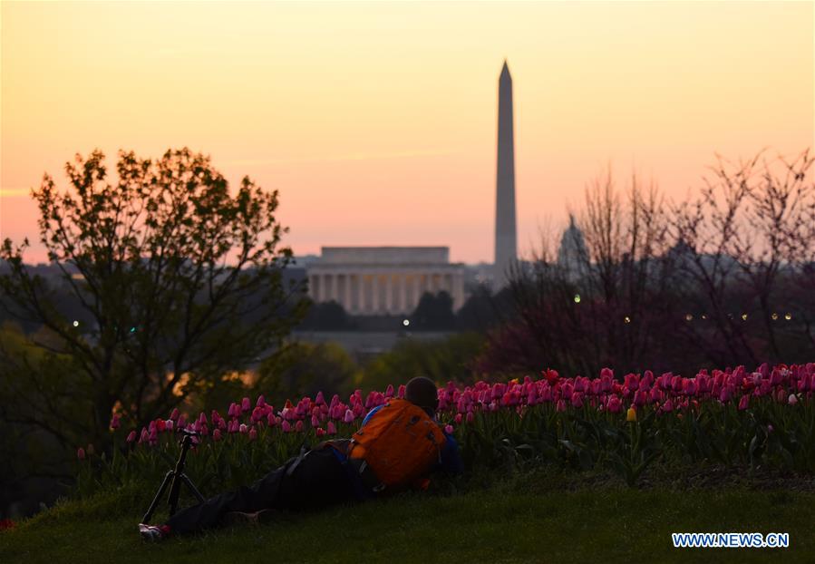 U.S.-WASHINGTON D.C.-SUNRISE