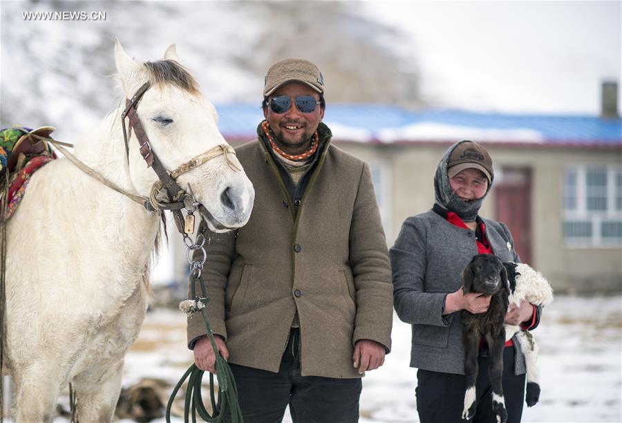 CHINA-XINJIANG-HEJING-BAYAN BULAG GRASSLAND-BREEDING SEASON (CN)