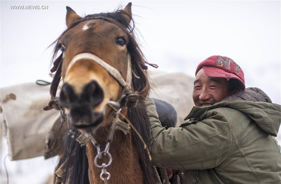 CHINA-XINJIANG-HEJING-BAYAN BULAG GRASSLAND-BREEDING SEASON (CN)