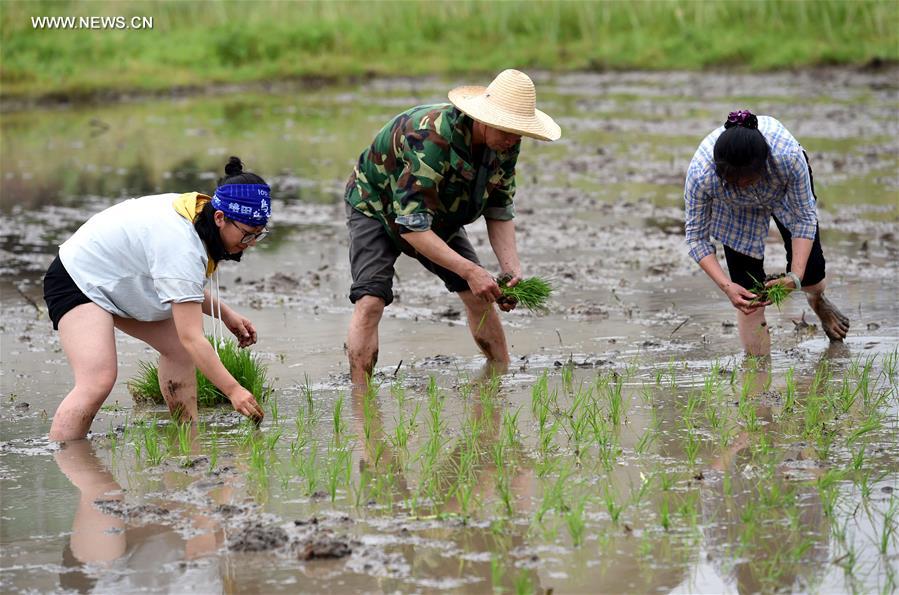CHINA-FUJIAN-HAKKA-FARMING CULTURE (CN)