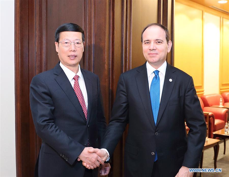 ALBANIA-CHINA-ZHANG GAOLI-NISHANI-MEETING