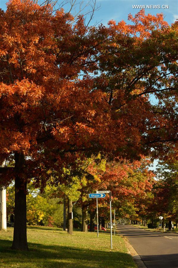 AUSTRALIA-CANBERRA-AUTUMN