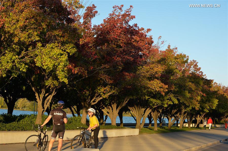 AUSTRALIA-CANBERRA-AUTUMN