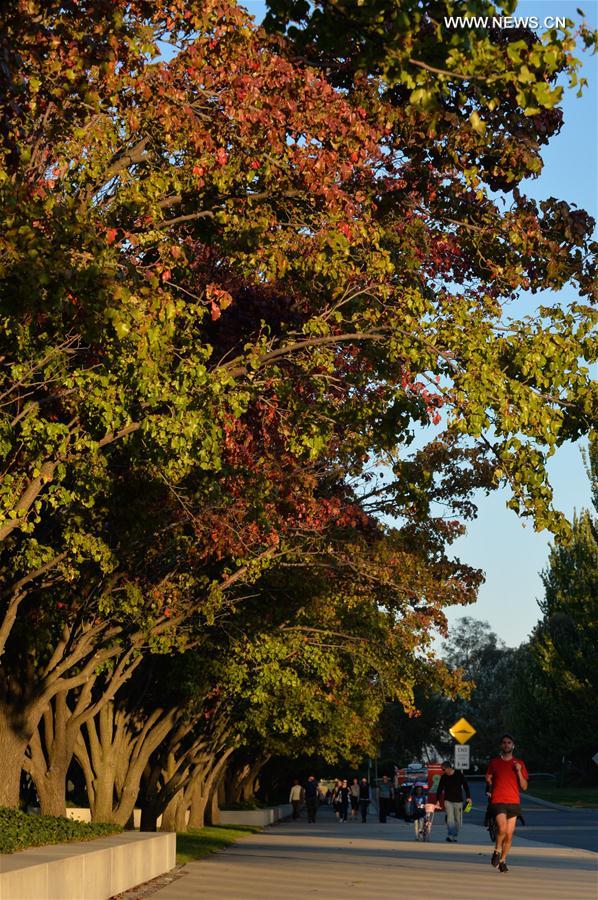 AUSTRALIA-CANBERRA-AUTUMN