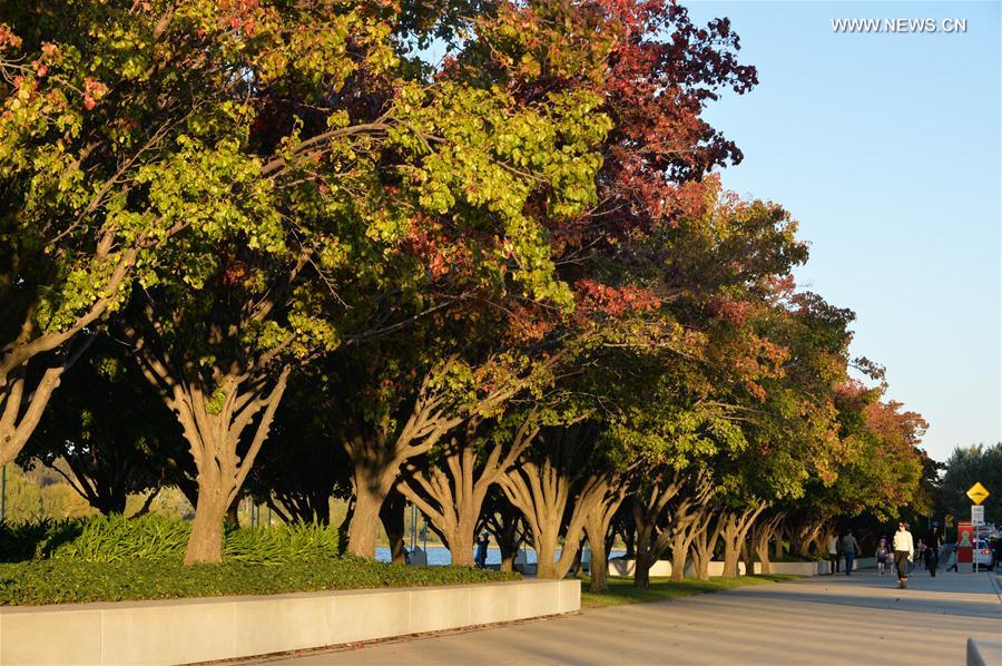 AUSTRALIA-CANBERRA-AUTUMN