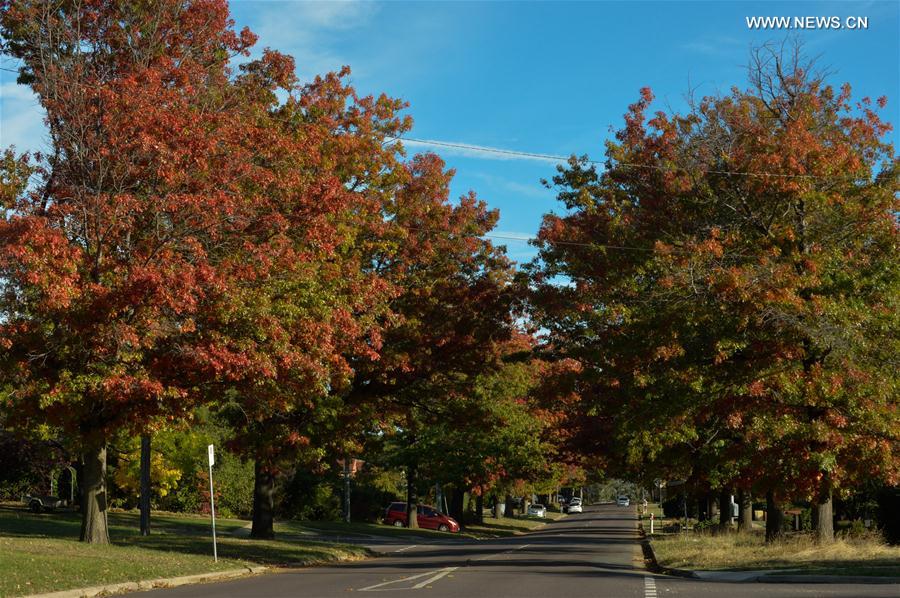 AUSTRALIA-CANBERRA-AUTUMN