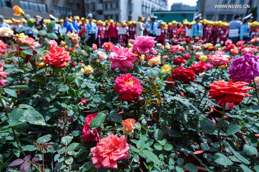 CHINA-ZHEJIANG-SCHOOL-FLOWER MARKET(CN)