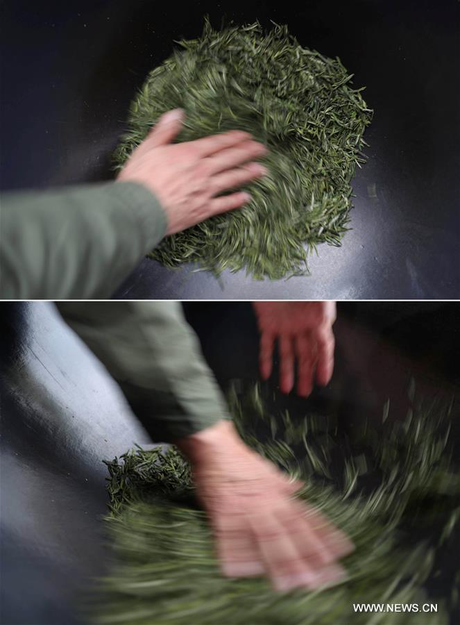 CHINA-SICHUAN-EMEI MOUNTAIN-ORGANIC TEA (CN)